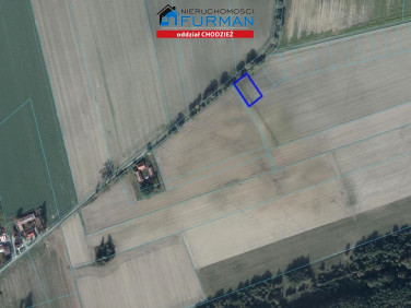 Działka budowlana Tarnowo