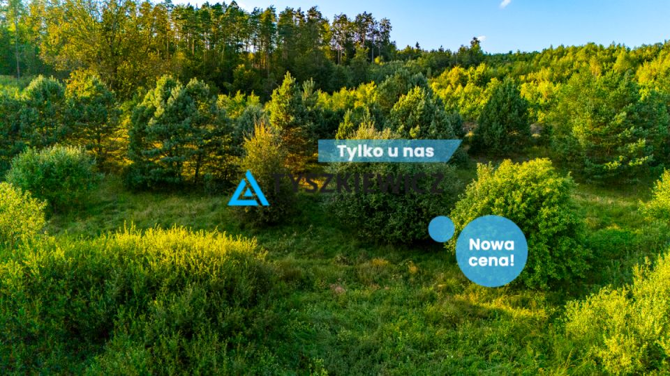 Działka rekreacyjna Sulęczyno sprzedam