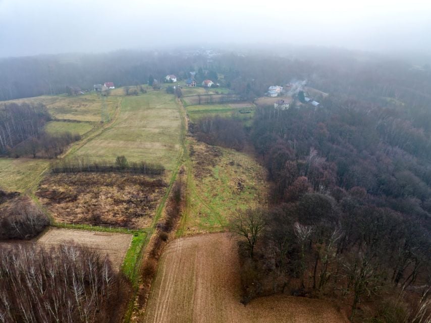 Działka przy lesie