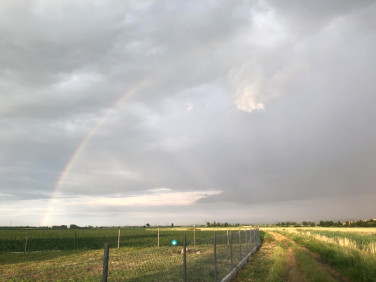 Działka siedliskowa Łagiewniki