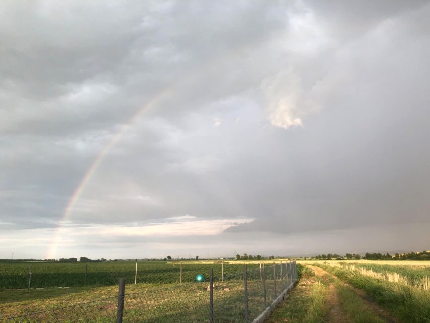 Działka siedliskowa Łagiewniki