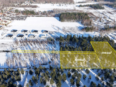 Działka leśna Sochaczew