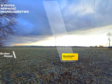 Działka usługowa Ożarów Mazowiecki