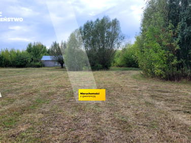 Działka siedliskowa Młodzieszyn