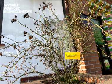 Budynek użytkowy Warszawa