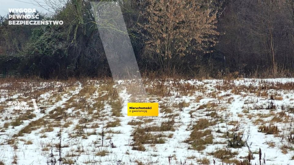 Zdjęcie 2