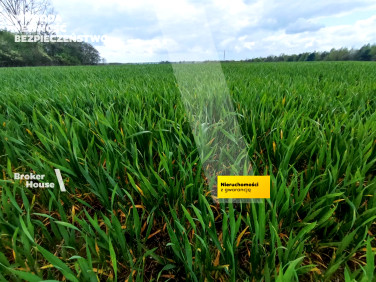 Działka budowlano-rolna Marków-Towarzystwo