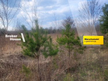 Pusta działka Borzęcin Duży