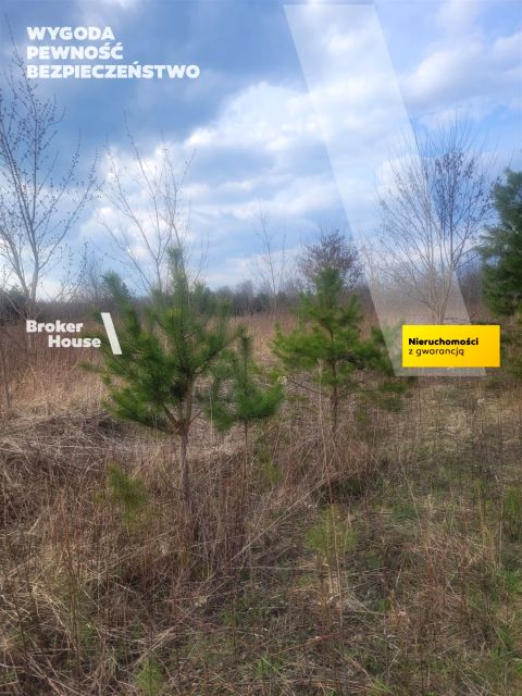 Pusta działka Borzęcin Duży