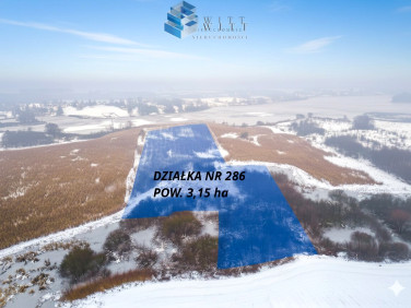 Działka nad jeziorem