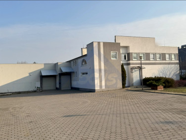 Budynek użytkowy Warszawa