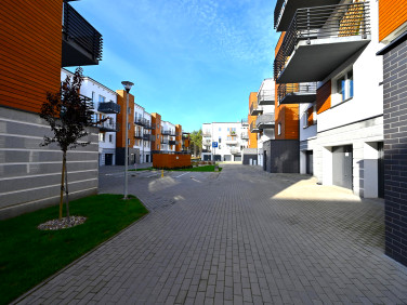 Mieszkanie Toruń wynajem