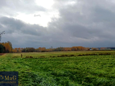 Działka rolna Paszkowszczyzna