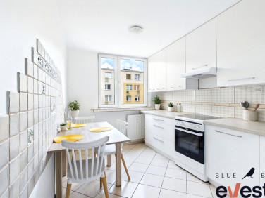 Mieszkanie Wrocław wynajem