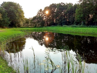 Działka siedliskowa Nowa Kiszewa