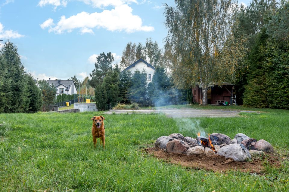 Działka budowlana Gowino