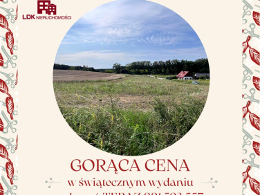 Działka inna Przytok