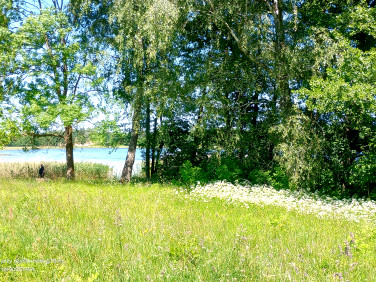 Pusta działka Karwie