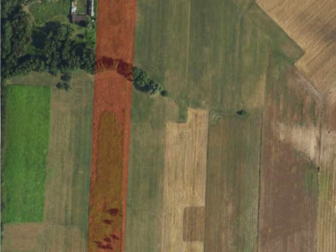 Działka budowlana Michałów sprzedam