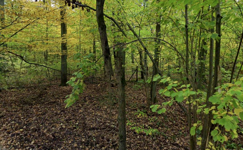 Działka budowlana Zalesie Górne