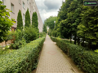 Mieszkanie Jastrzębie-Zdrój