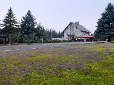 Budynek użytkowy Żółtki