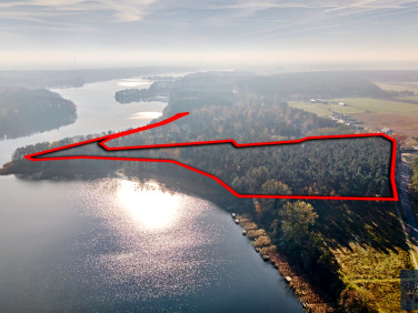 Działka leśna Klotyldzin