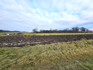 Działka inna Małachowo sprzedam