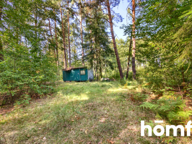 Działka budowlana Murzynowo Leśne