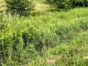 Działka budowlana Kampinos A