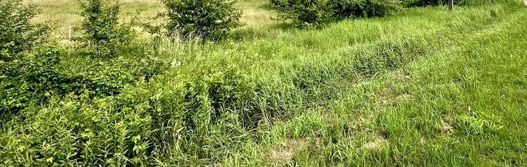 Działka budowlana Kampinos A