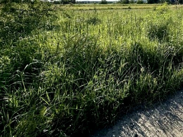 Działka budowlana Kampinos A sprzedam