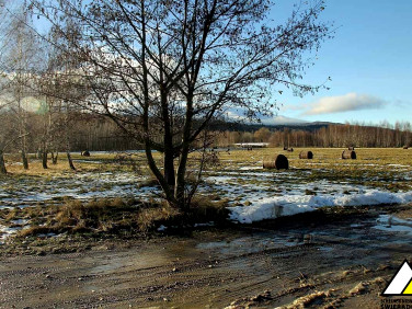 Działka budowlana Orłowice