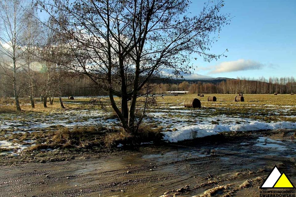 Działka budowlana Orłowice