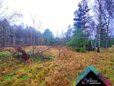 Dom wolnostojący sprzedaż