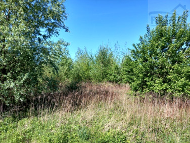 Działka przemysłowa Pruszków