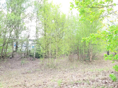 Działka usługowa Recz