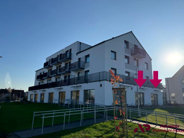 Lokal Kruszewnia wynajem