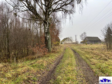 Działka budowlana Będźmierowice sprzedam