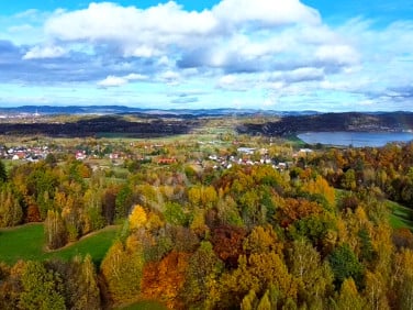 Działka Sosnówka