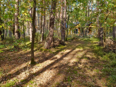 Działka leśna Osiedle Wilga