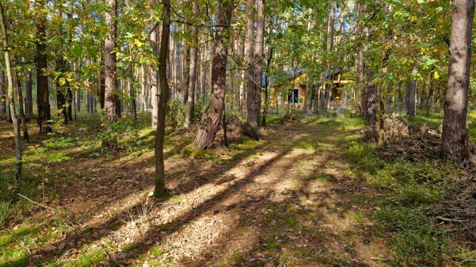 Działka leśna Osiedle Wilga