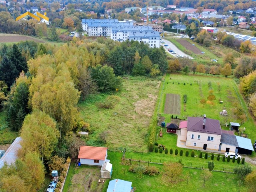 Zdjęcie 2