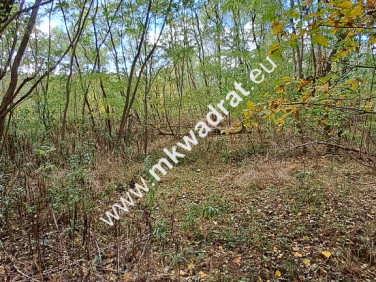 Działka budowlana Wyględy