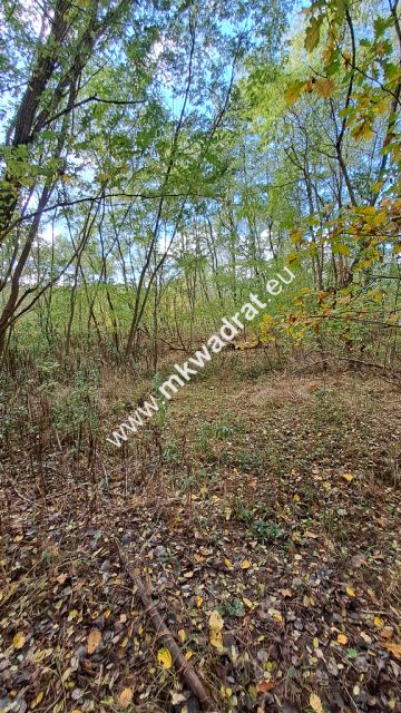 Działka budowlana Wyględy