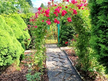 Działka rekreacyjna Ruda Śląska