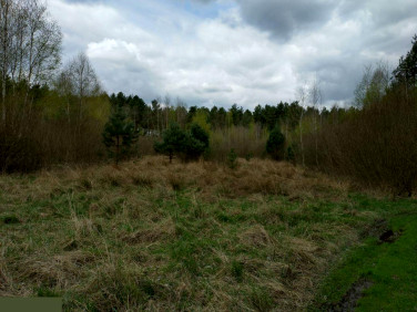 Działka budowlana Żytno