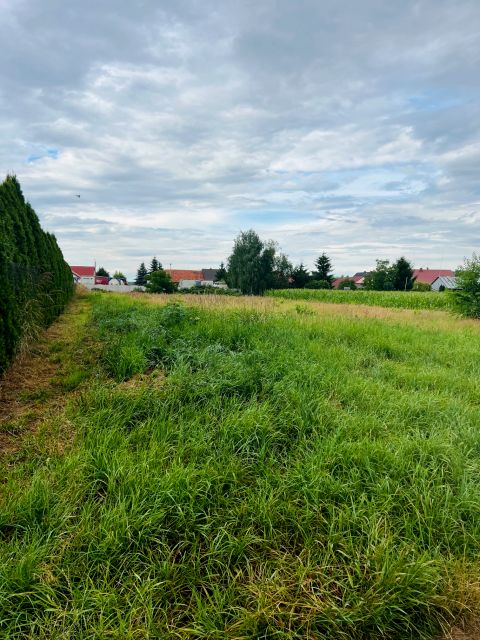 Działka budowlana Rakoszyce