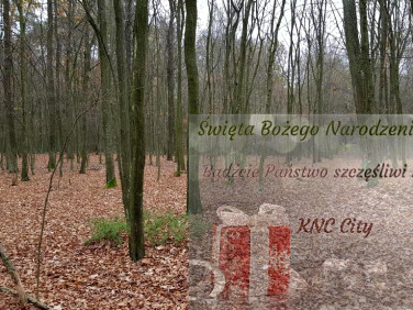 Działka Samoklęski