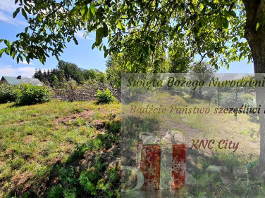 Działka rolna Sadurki